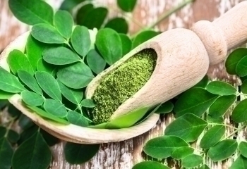 Moringa tilskud banner