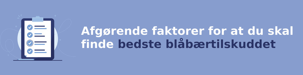Afgørende faktorer for at du skal finde bedste blåbærtilskuddet