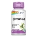 Solaray Olivenblad - 30 Kaps.