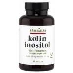 Healthwell Närokällan Cholin og Inositol