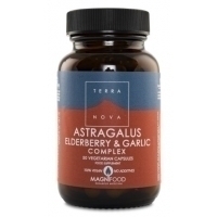 Terranova Astragalus